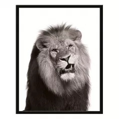 Постер в раме 40х50 Животные (Брутальный лев) 240501504 (6)