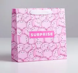 Пакет ламинированный квадратный "Surprise", 22×22×11 см 5226244