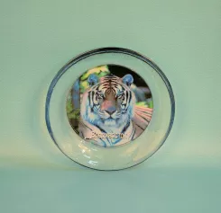 Тарелка сувенирная "Владивосток/тигр " 13,5см с подставкой