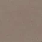 ЛДСП ДУО 16ММ K КЛАССИЧЕСКОЕ МАТОВОЕ (ПРЕМИУМ) 2750*1830, норма - фото 1 - миниатюра