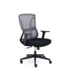 НОМИ М-317 (черный пластик (серый/черный)) - фото 1 - миниатюра