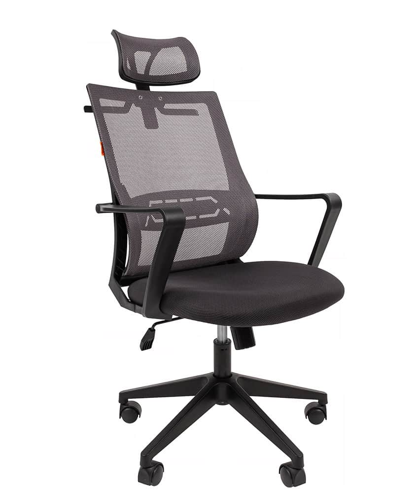 CHAIRMAN 545 - изображение 1