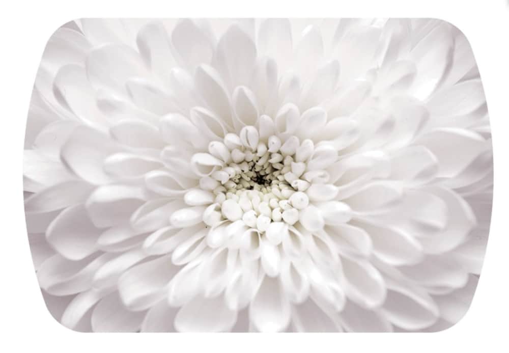 Стол обеденный БОСТОН-2 - изображение 3