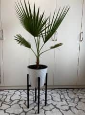 Подставки для цветов ЛОФТ - изображение 1