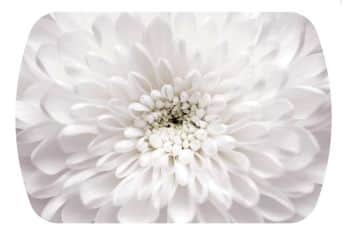 Стол обеденный БОСТОН-2 - изображение 3