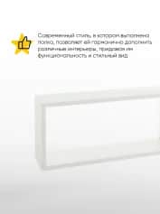 Полка ПОЛКА №5 (800*200*350 ММ) - изображение 2