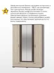 Шкаф для одежды и белья ДАЛЛАС - изображение 5