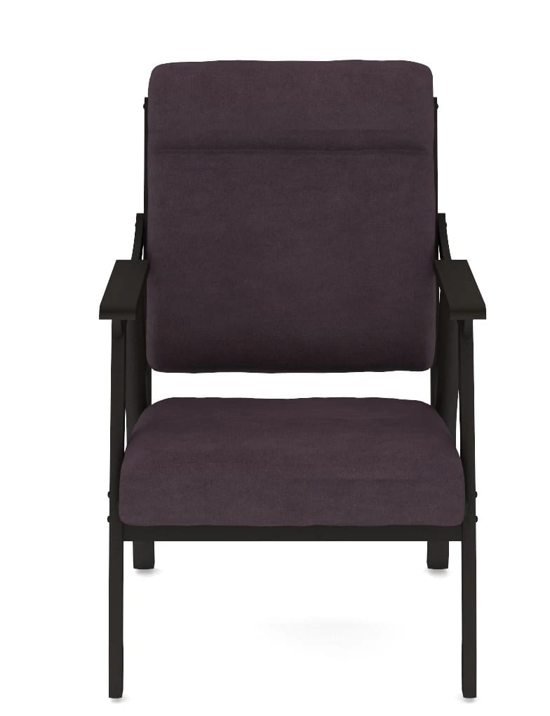 ВЕГА-10 (Ультра плюм (Ultra plum)  / Венге (Лак)) - фото 2