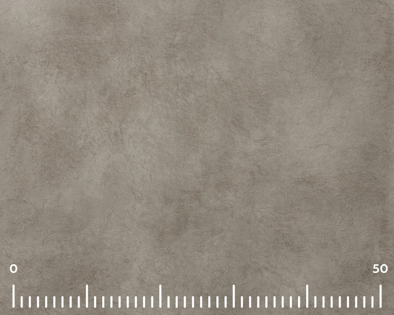 СЕНАТОР (Сафари беж (Safari beige)) - фото 2