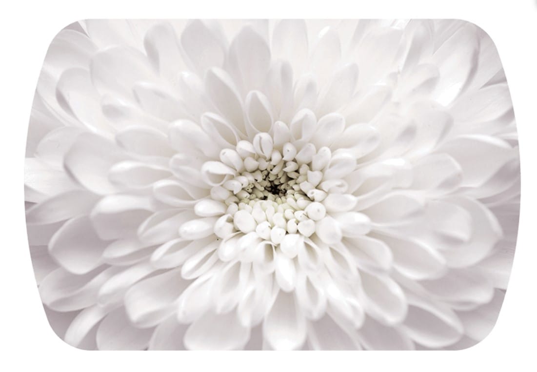 БОСТОН-2 ((опора брифинг)/(Флоренс/белый)) - фото 3