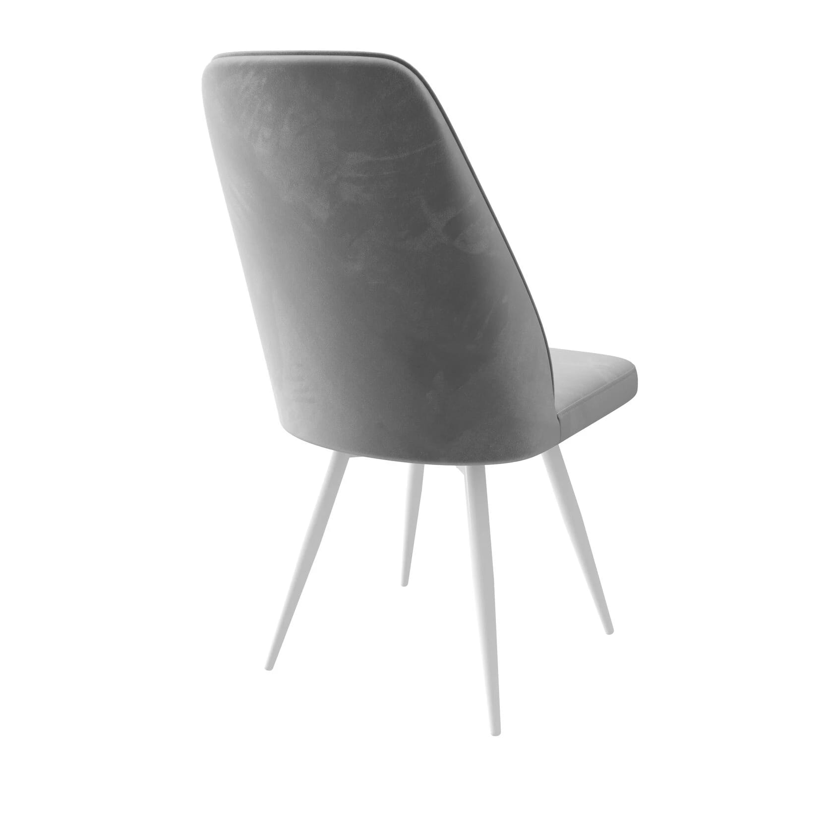 ЛАРС R-1/LEONARD M-R1 (Белый/Steel Lux 09) - фото 2