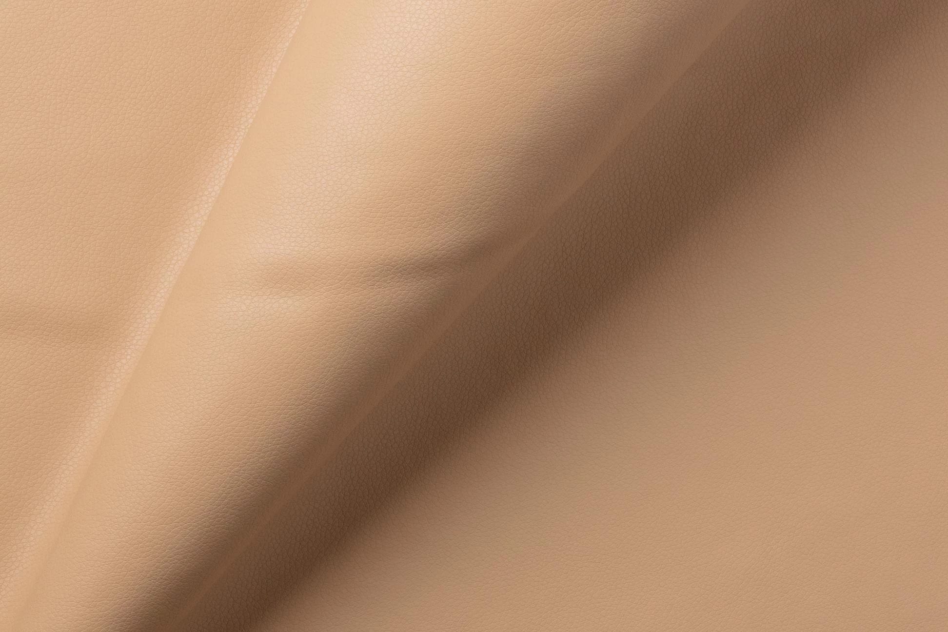 БАЗИС (Иск.кожа Линкольн 102 (Lincoln 102)) - фото 4