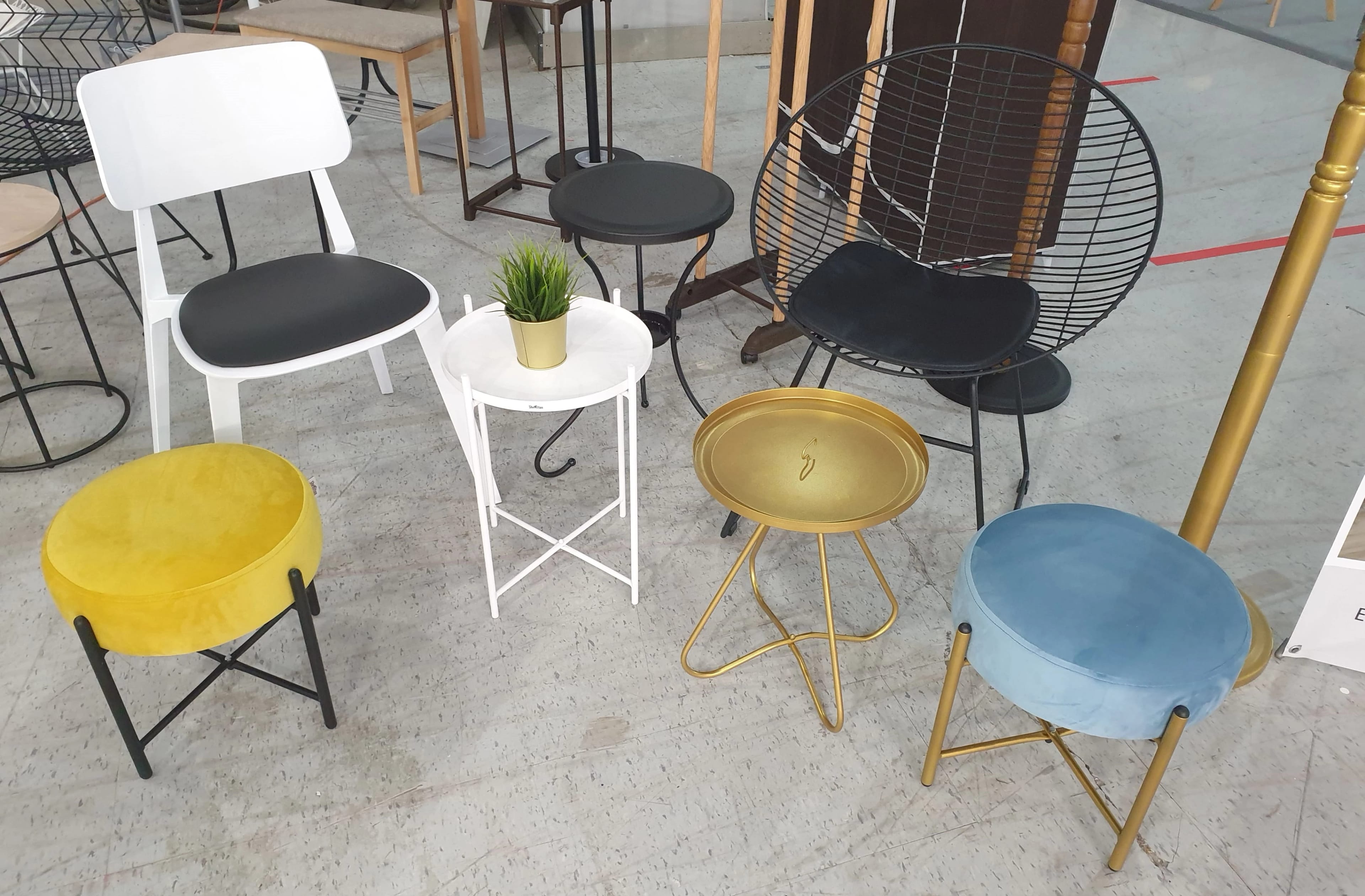 SHEFFILTON (SHT-CT3) (золото) - фото 6