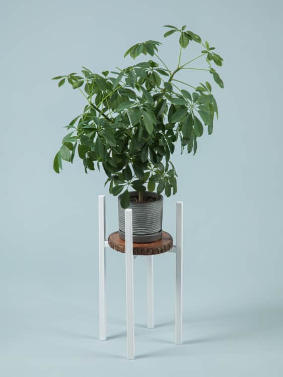 ЛОФТ, белая, норма