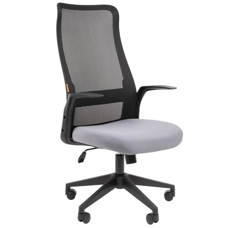 CHAIRMAN 573, черный/серый, норма