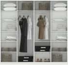 СТИВ - фото 1 - миниатюра