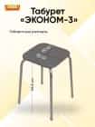 ЭКОНОМ-3 (серый) - фото 4 - миниатюра