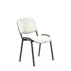 ИЗО (Z01/кожзам. белый) - фото 5 - миниатюра