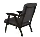 ВЕГА-10 (Ультра графит (Ultra grafit) / Венге (Лак)) - фото 3 - миниатюра