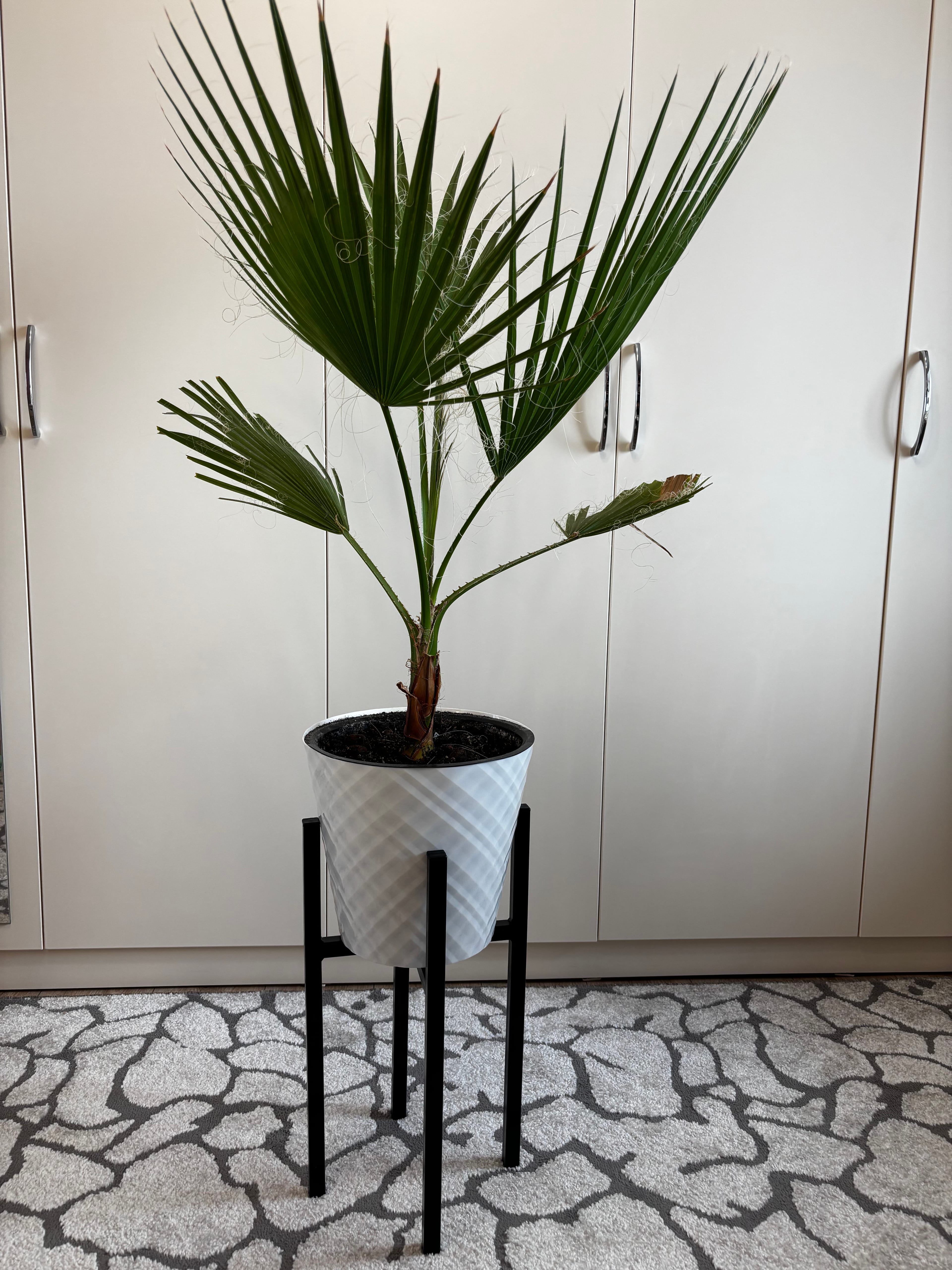 ЛОФТ (черная) - фото 1