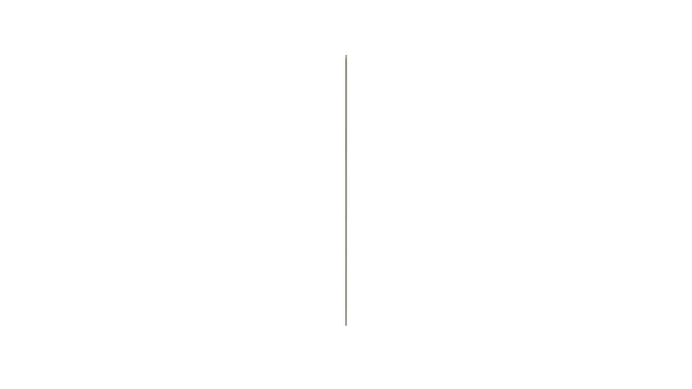 Фото Фасад торц Пенал h2418 (ШхВхГ: 20x2418x569) - вид 1