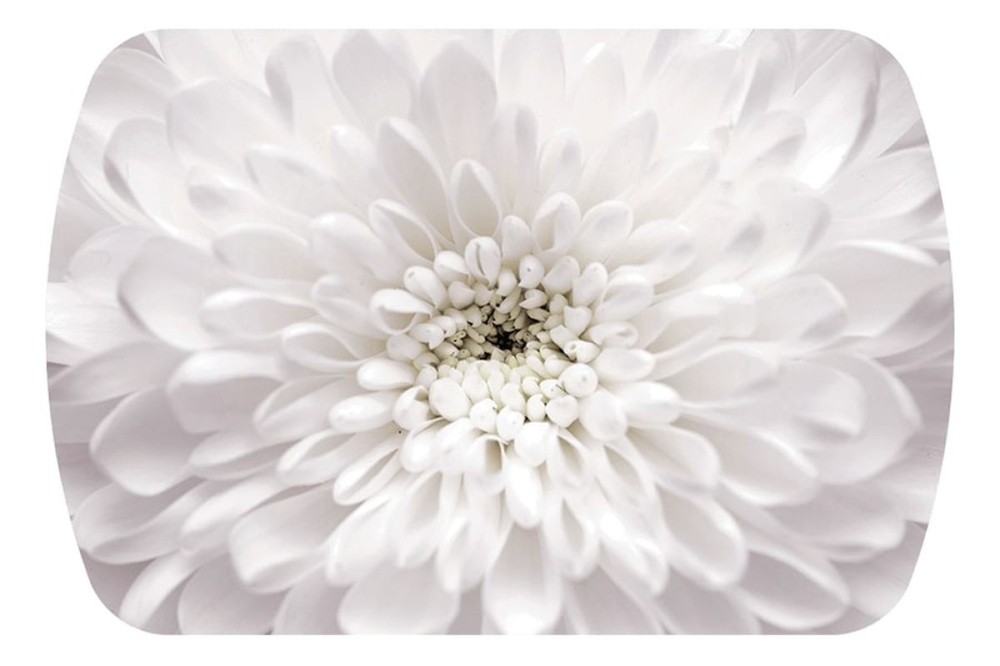 Фото БОСТОН ((опора триумф)/(Флоренс/белый)) - вид 2