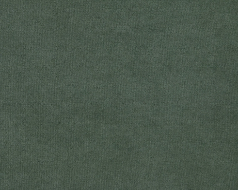 Фото АМИТА (Ультра олив (Ultra olive)  / Ультра олив (Ultra olive)) - вид 5