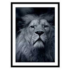 Постер в раме 30х40 Животные (Грациозный лев) 230401507 (6)