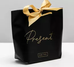 Пакет подарочный "Present" 21х17х7 см 4785002