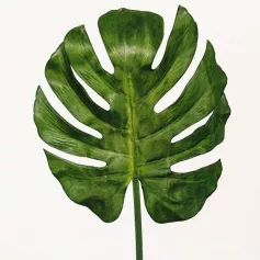 Цветок иск. Лист монстеры (зеленый) 32/89 см