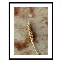 Постер 30х40 Растения (Колосья пшеницы) (6) 230402605