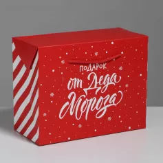 Пакет-коробка «Подарок» 23×18×11 см 4922087