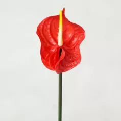 Цветок иск. Антуриум 71 см (красный)