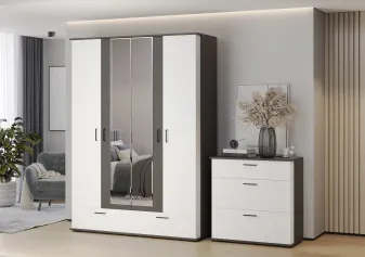 Шкаф для одежды и белья ДАЛЛАС